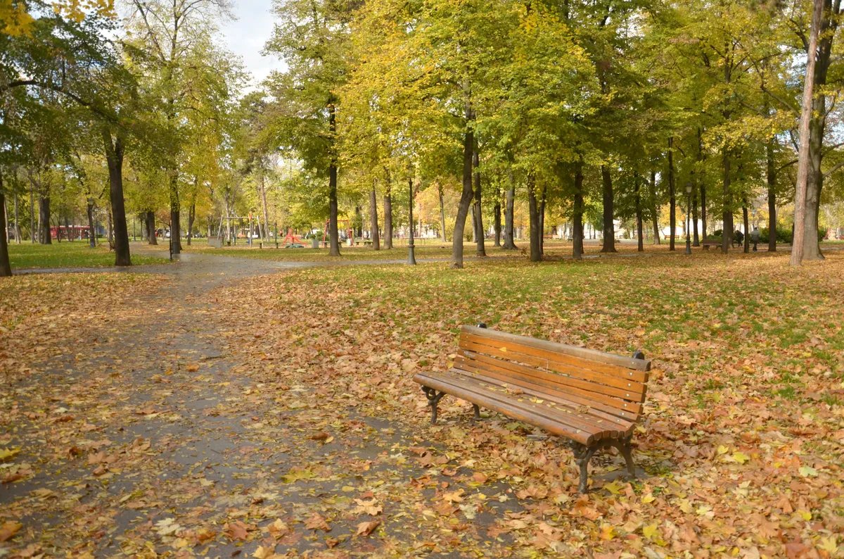 Udruženje i građani kupili nove klupe, opštinska vlast u Bečeju neće da ih postavi