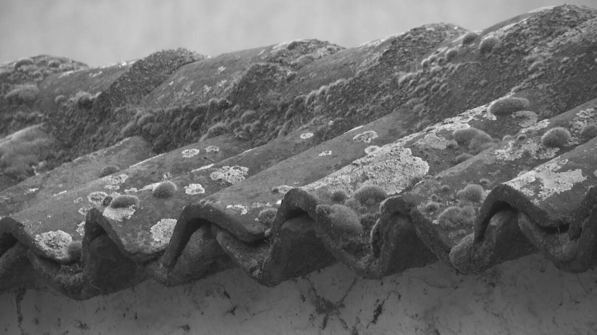 "ŽUDNJA I ĐURĐEVDANSKE MANTAFE" Nagrada za film Slađana Stojanovića na Međunarodnom festivalu dokumentarnog filma