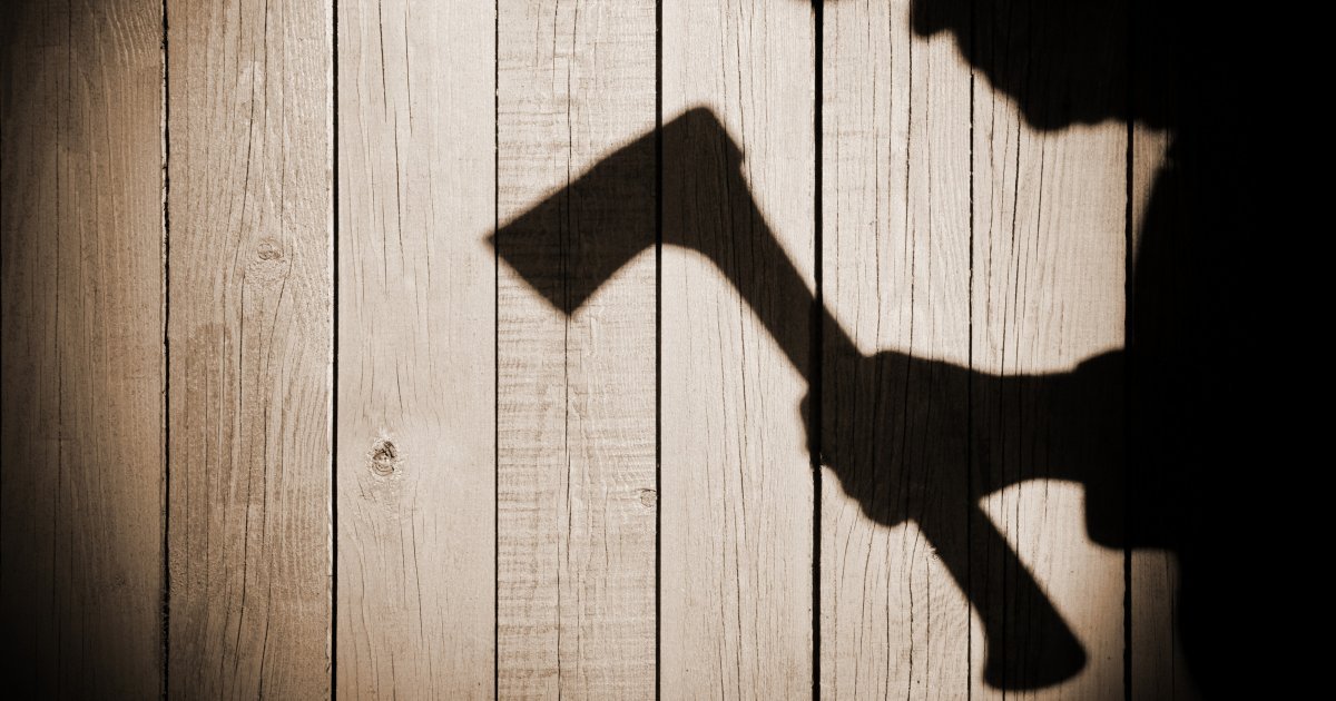 Velika akcija Evropola: Uhapšeno 10 pripadnika kriminalne organizacije "Crna sekira"!