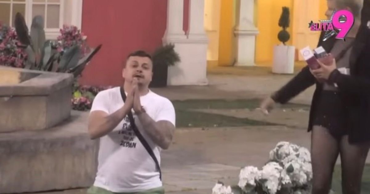 Drama u cik zore, Terza pao na kolena i moli Milicu Veličković za oproštaj! Udario na Sofiju zbog Daneta