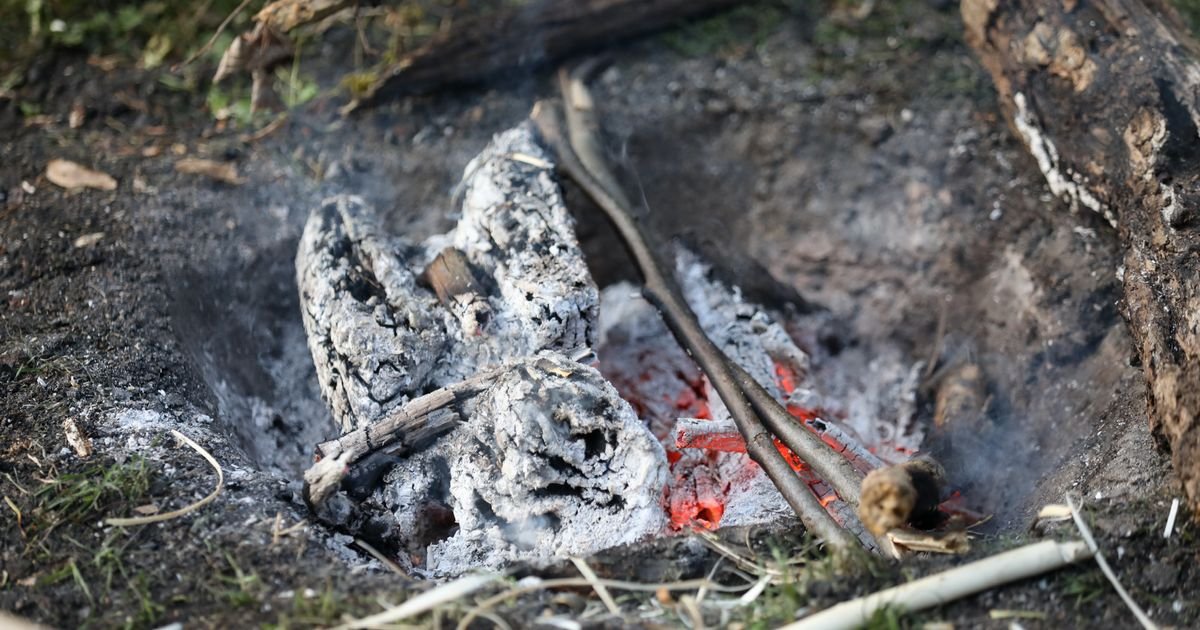 Roštilj koji će vam presesti: Ako uradite OVO za 1. maj, vaši džepovi će ostati PRAZNI