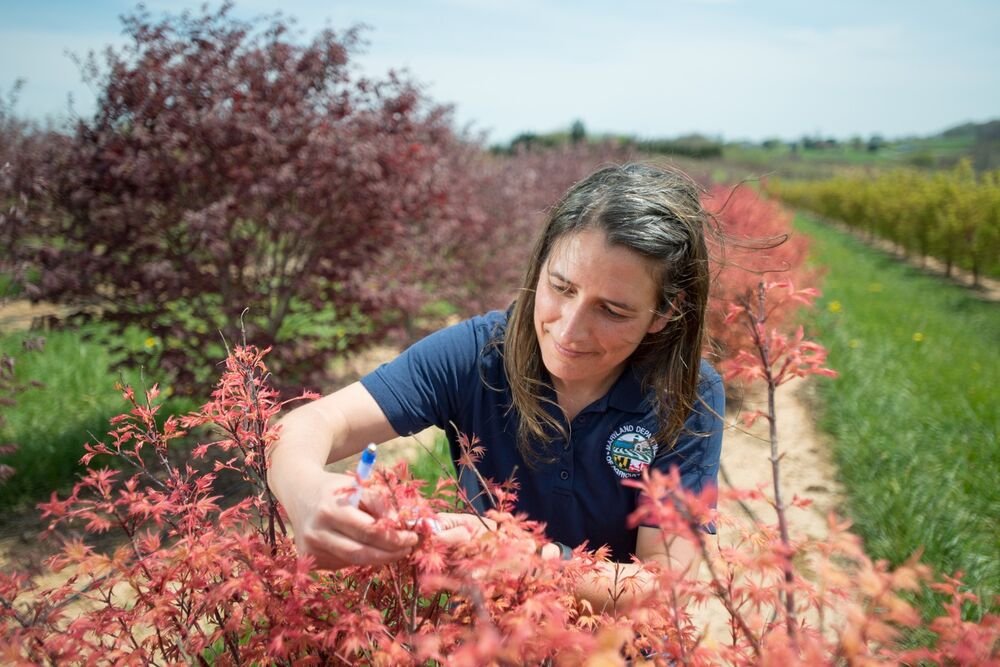 JOVANKA IZ NOVOG SADA JE 22 GODINE KOD ČIKA JOVE BILA PODSTANAR: "Jedne noći mi došao u GAĆAMA i REKAO DA MORA..."