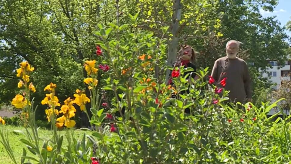 VREDNI NOVICA NAPRAVIO ČUDO NA LIMANU 4! Od pustopoljine u novosadskom naselju napravio cvetni raj! Deca se igraju, komšije zastaju (VIDEO)