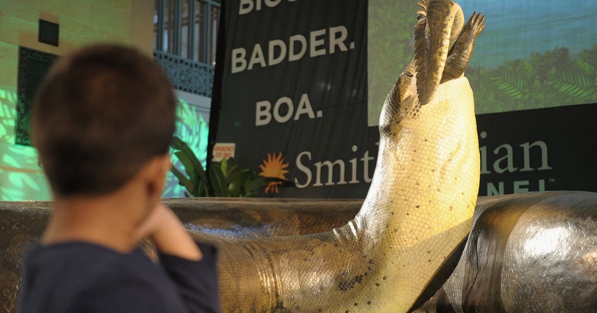 Drevni džin bio je dugačak do 15 metara: Da li je ovo najveća zmija koja se kretala našom planetom?