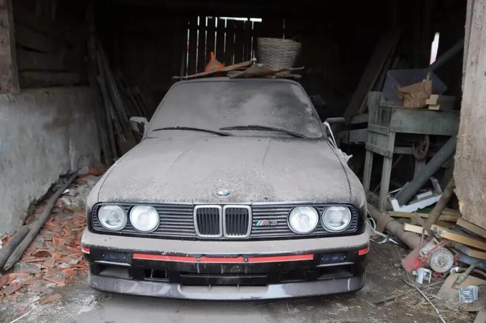 U ŠTALI PRONAŠLI PRAŠNJAVU ZVER KOJA VREDI STOTINE HILJADE EVRA: Kad su otvorili vrata ostali šokirani prizorom!