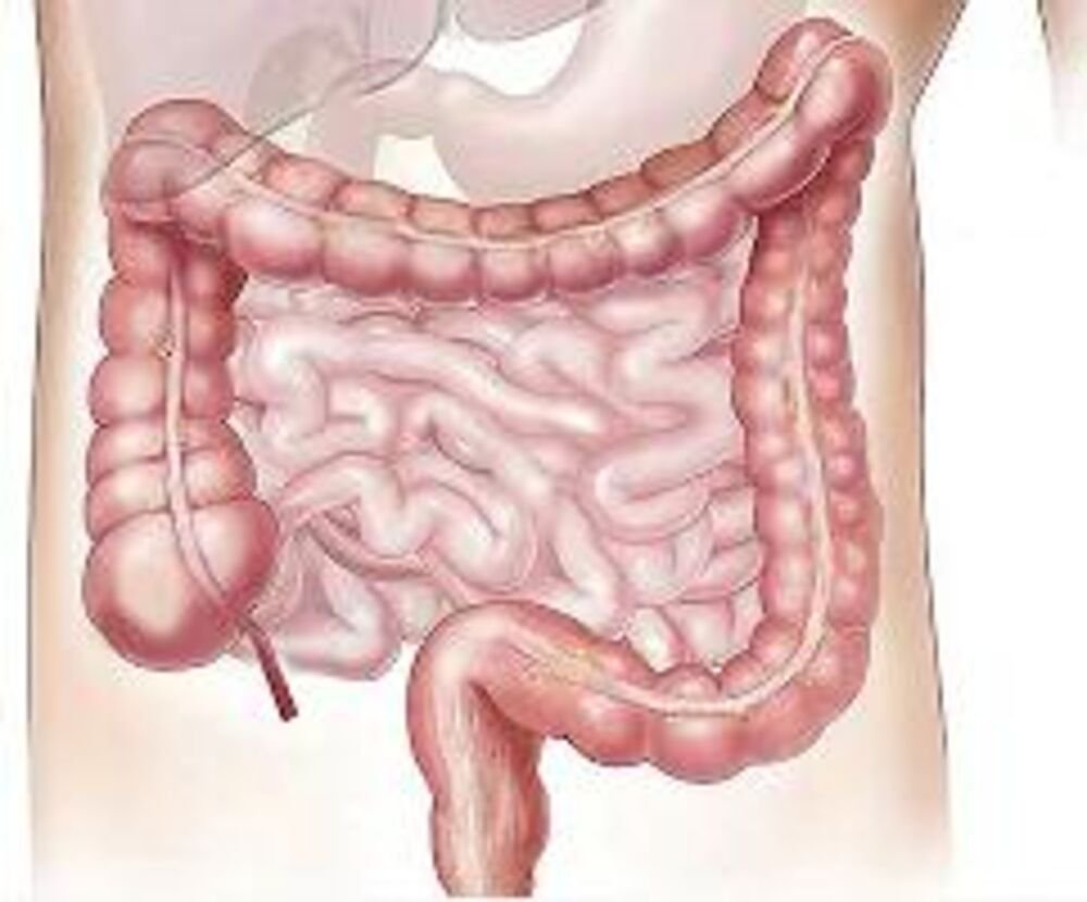 "OBOLEVAJU I MLAĐI": Stručnjaci otkrili kojih 5 voćki smanjuju rizik od RAKA debelog creva! "Samo malo je dovoljno"