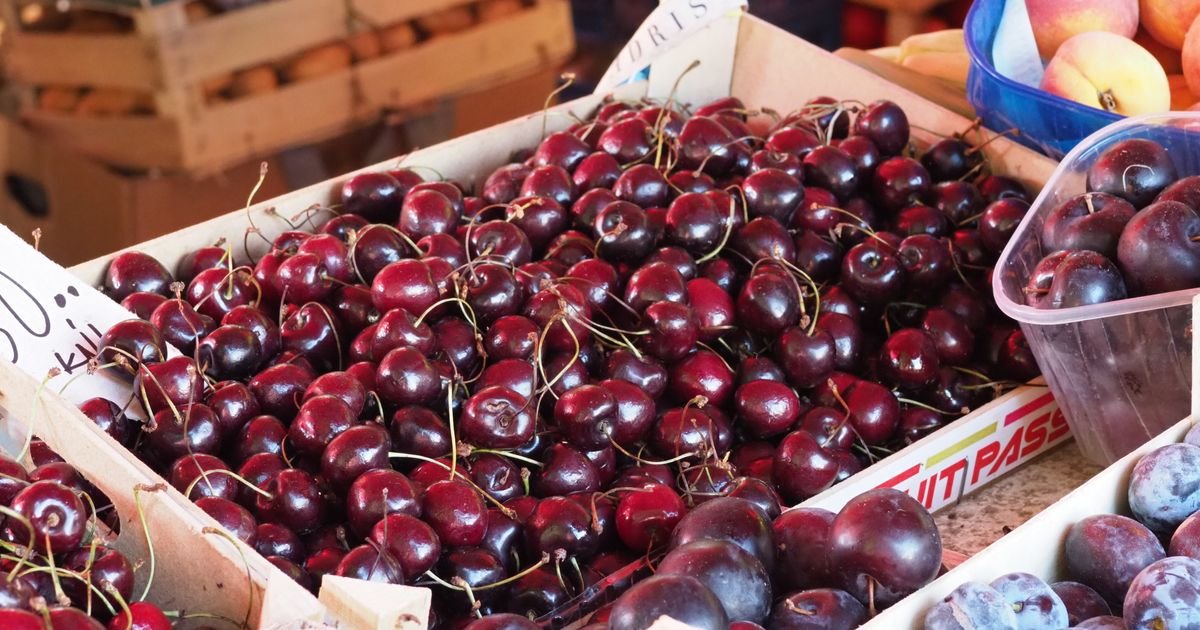 Trešnje lane koštale 1.500 dinara: Kakva će biti ovogodišnja cena?