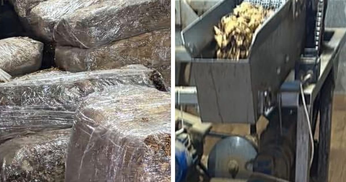 REKORDNA ZAPLENA NA FRUŠKOJ GORI: Policija oduzela 1,5 tona duvana, razbijen lanac ilegalne trgovine