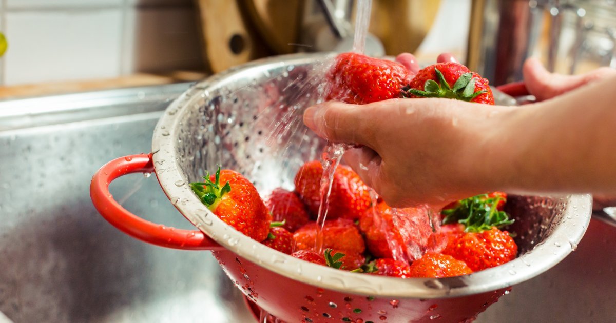 Jagode su među najosetljivijim voćem: Kako ih pravilno prati da uklonite pesticide, bakterije i insekte