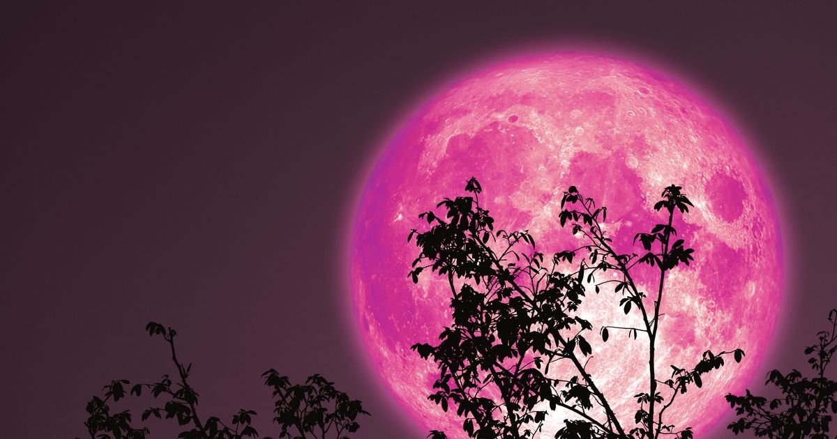 Cvetni Mesec stiže 1. maja i najjači je ove godine: Dva znaka su pred velikim izazovom, sve izlazi na površinu