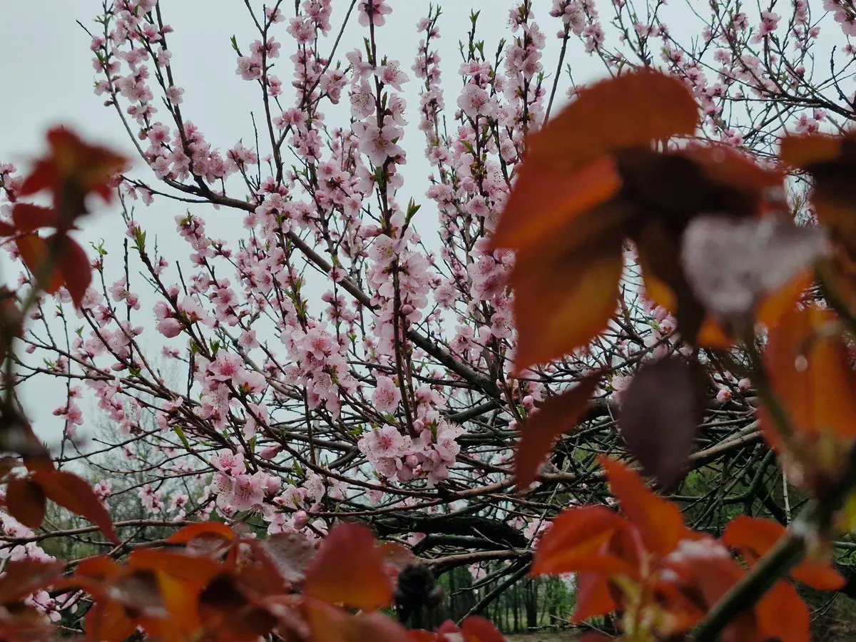 Kakvo nas vreme očekuje za prvomajske praznike?