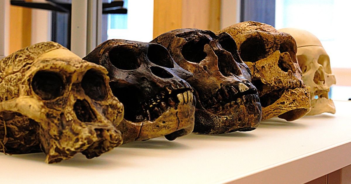 Veliko DNK istraživanje menja priču o poreklu čoveka: Naučnici iznenađeni rezultatima