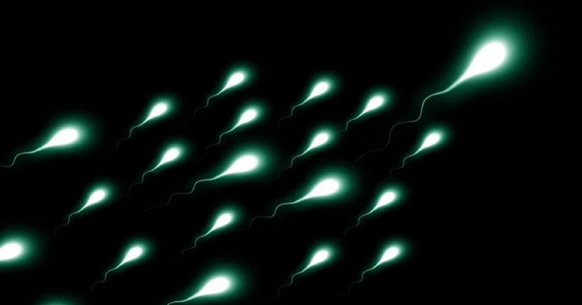 Toksini i klimatski uticaji su verovatan uzrok smanjene plodnosti