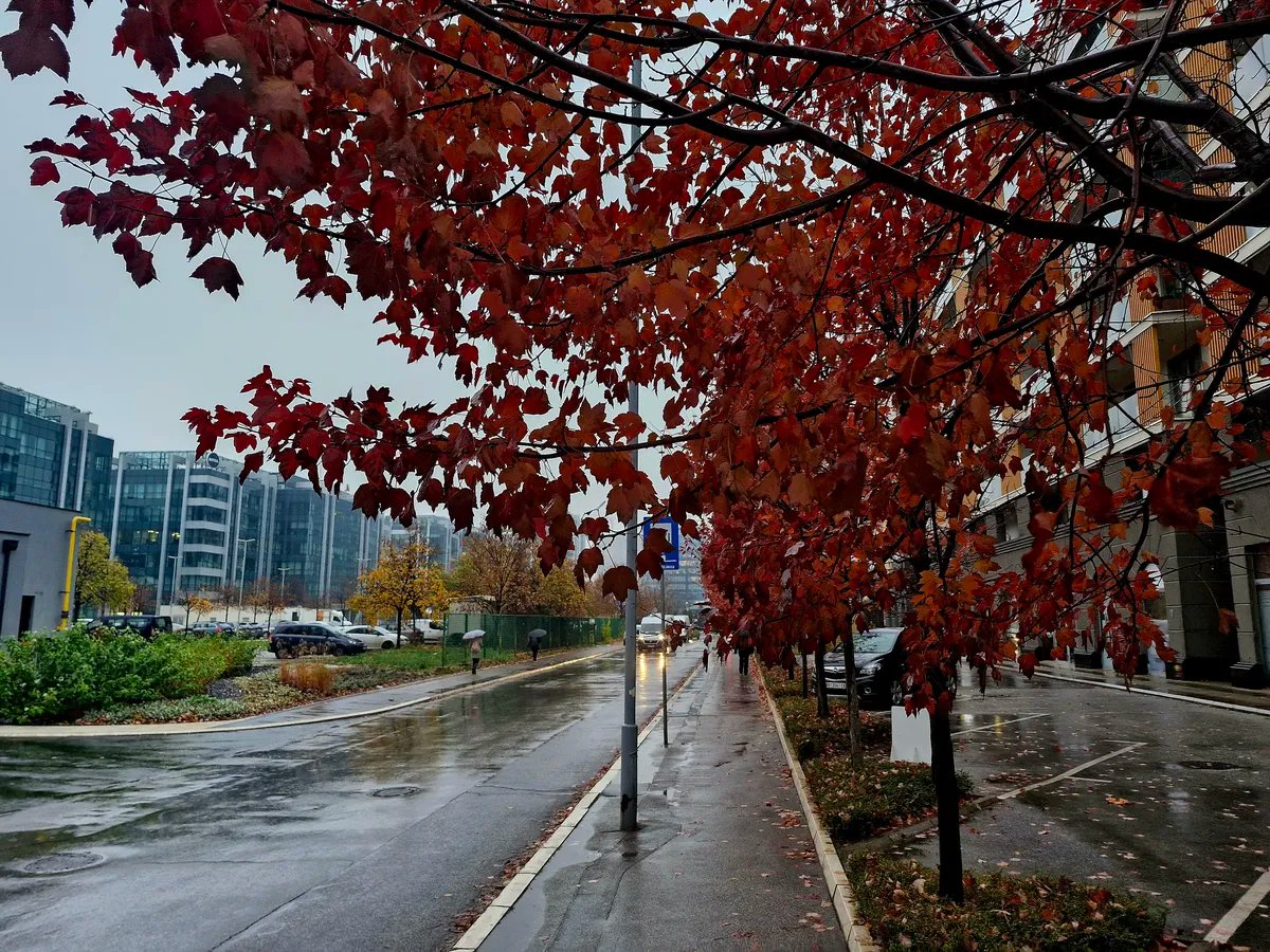 Temperatura do 16 stepeni: Razvedravanje do kraja dana