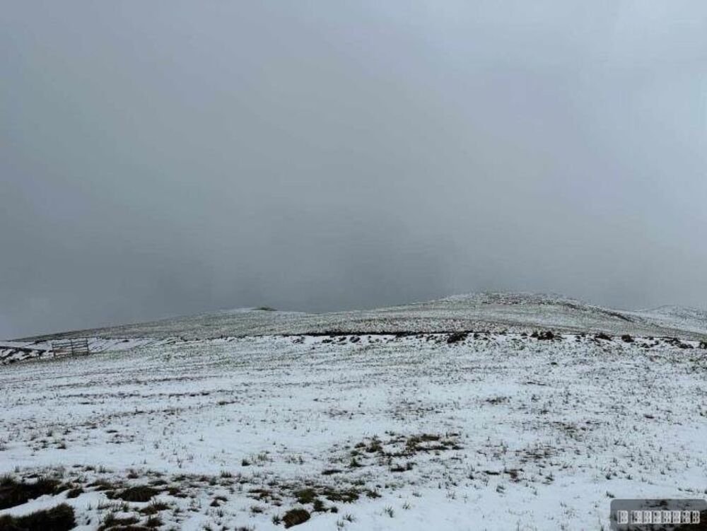 Sneg na ovoj srpskoj planini pada kao da je januar: Usred proleća sve se zabelelo, neverovatne slike (FOTO)