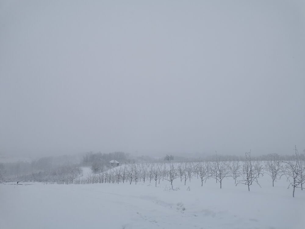 Sneg u ovom delu Srbije pada kao usred zime: Sledi i MRAZ, temperatura pada na -5