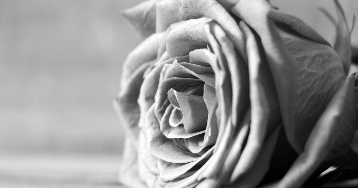 Umro Dejvid Alen Kou