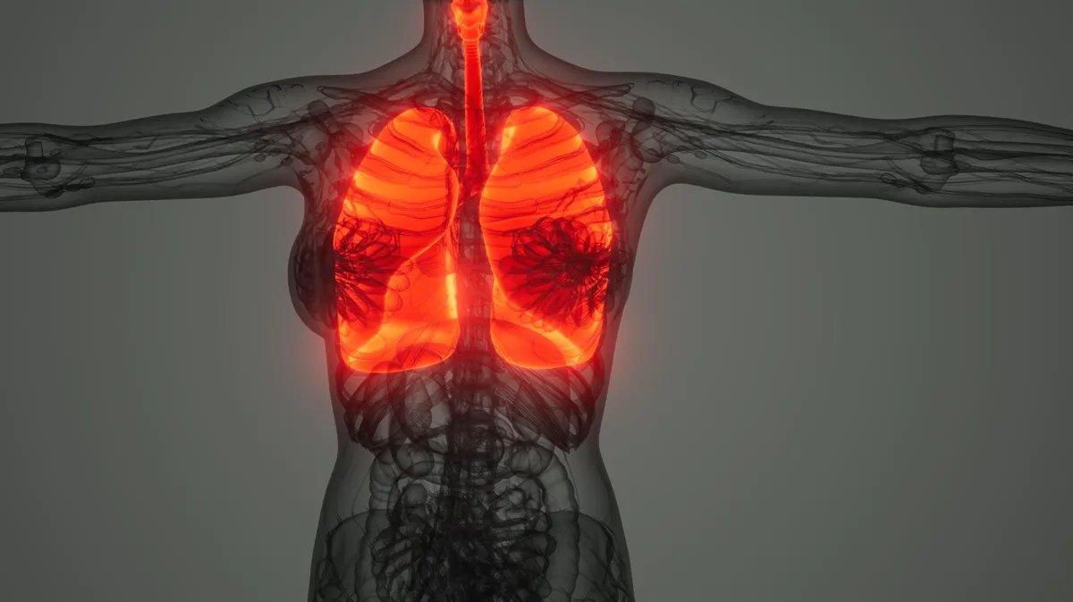 Simulacija pokazala šta se tačno dešava u vašim plućima kada pušite, a šta kad vejpujete