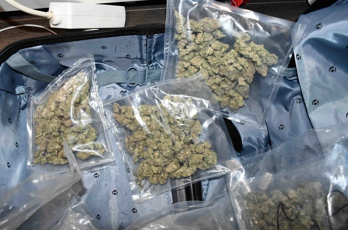 Diler uhapšen na Novom Beogradu: Zaplenjeno 436 grama marihuane, spakovanih u 559 kesica