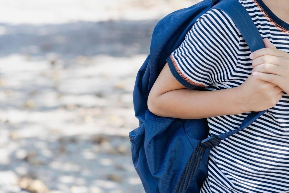 Drama u Sjenici: Učenik došao u školu sa pištoljem, hitno se oglasio direktor!