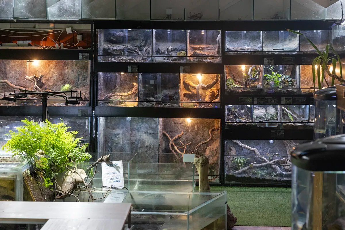 "Beogradu je potreban akvarijum, ali ne i delfinarijum"