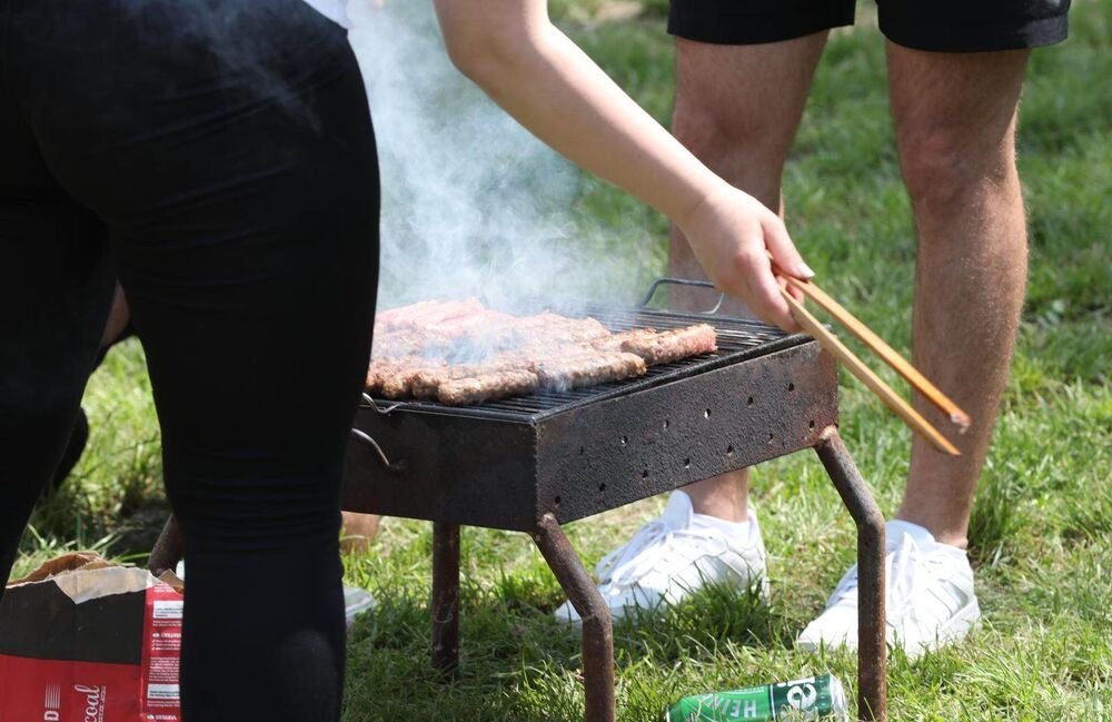 Evo da li će padati kiša za prvomajski uranak: Oglasio se RHMZ!