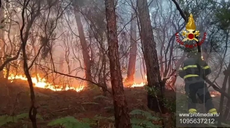 FOTO, VIDEO Gori Toskana: Vatra se brzo širi, evakuisano 3.000 ljudi
