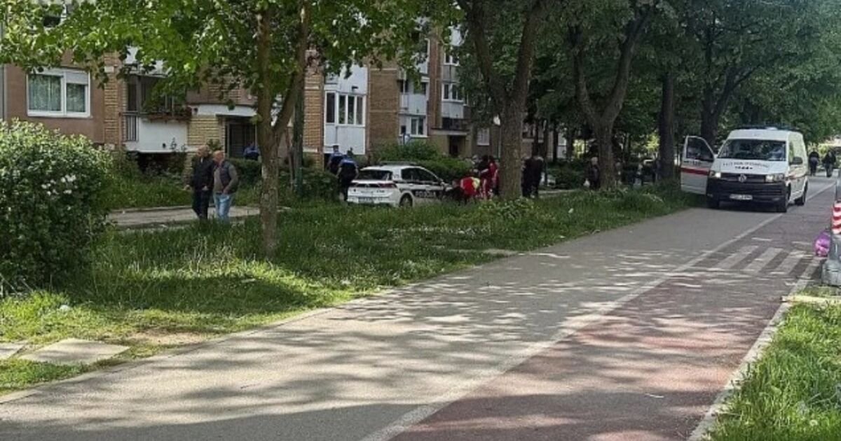 Ubio ženu u stanu, pa ranio njenog brata: Prva slika s mesta pucnjave u Omladinskih radnih brigada