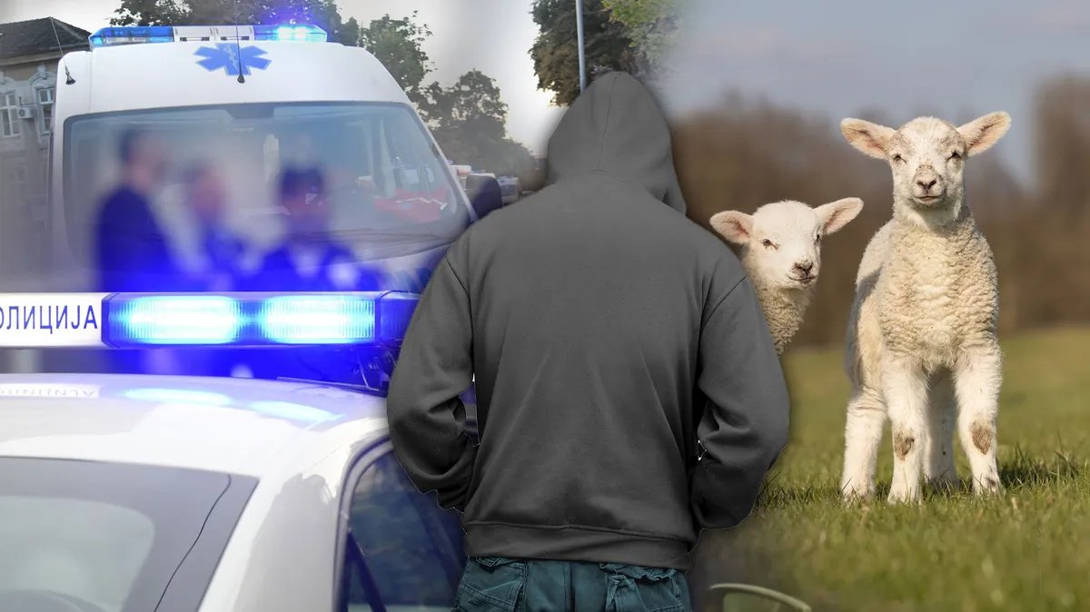 Svešteniku ukrali auto, pa ga vratili i ostavili novac na sedištu, kod Smedereva ukrali jagnje, pa umalo poginuli u jurnjavi sa vlasnicima: Ovo su pljačke koje će vas nasmejati do suza