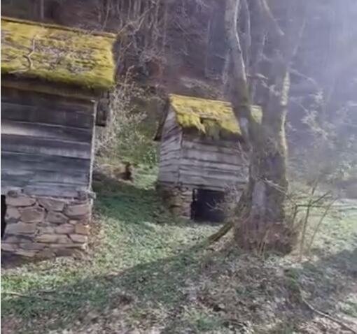 U selu nadomak Kuršumlije rađaju se riđa deca: Za sve je zaslužan kralj Milutin, a mesto krije i legendu o blagu