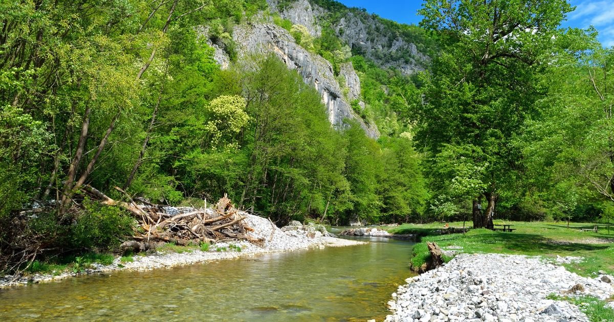 Ova srpska reka izgleda kao iz "Gospodara prstenova" - a nalazi se na sat vremena od Beograda