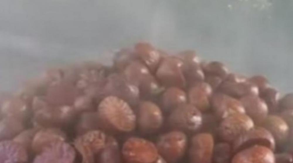 SRBI JE JEDU KAO DA JE POSLEDNJA NA SVETU, A RAZARA ORGANE! Namirnicu PRESKOČITE, posle će biti kasno!
