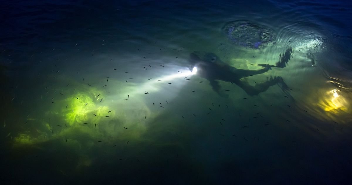 Američki brod je potopljen torpedom, poginula 131 osoba: Evo gde je pronađena olupina