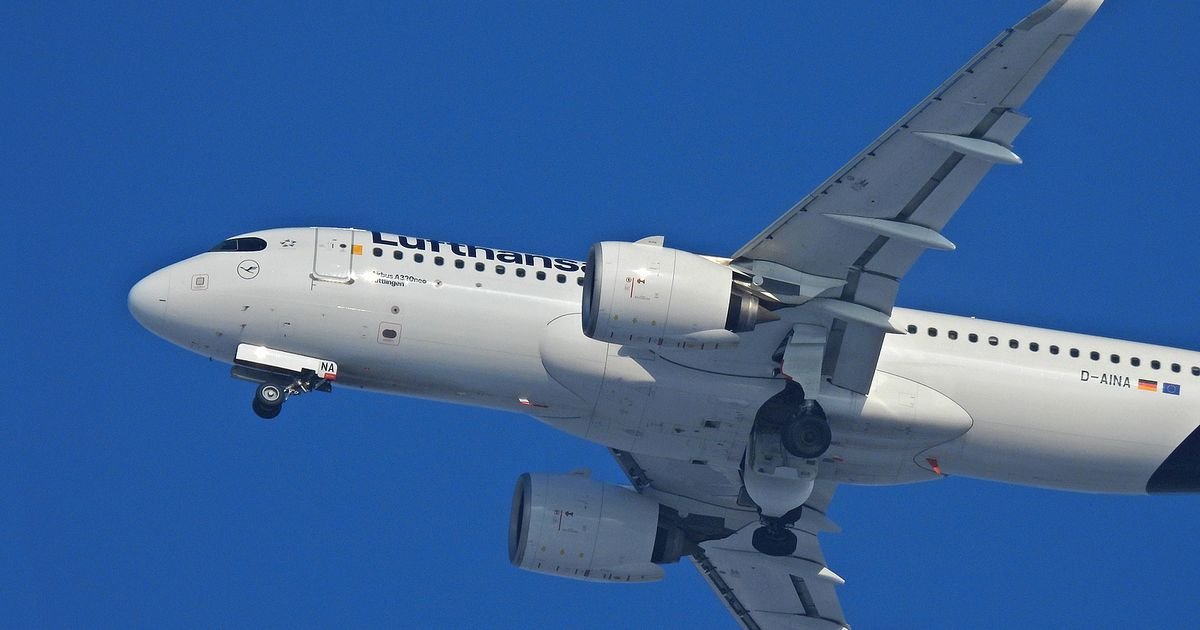 Avionska "porođajna sala" na 10.000 metara: Lekar i sestra među putnicima spasili dva života