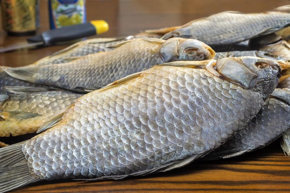 OVO JE NAJZDRAVIJA RIBA ZA ORGANIZAM: Čuva srce, bogata vitaminom D, zbog ovoga ćete je tamaniti par puta nedeljno!