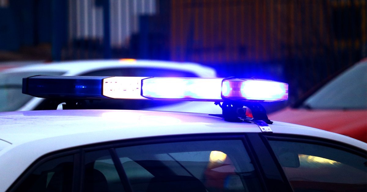 Brza reakcija policije: Uhvaćen monstrum koji je vezao psa za automobil i vukao ga po putu u Hrvatskoj