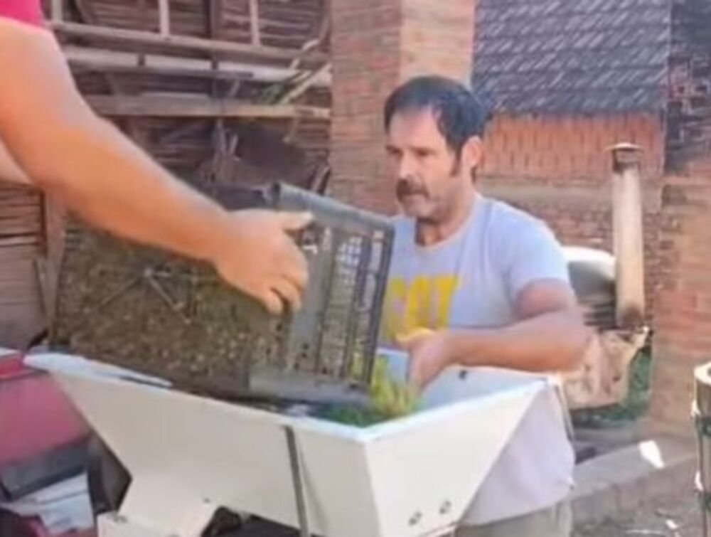 NEKAD NAJJAČI FRAJER BEOGRADA, A SAD PRAVI SELJAK! Glumac napustio grad i pokazao ŠTA SVE MOŽE, SVAKA ČAST MAJSTORE