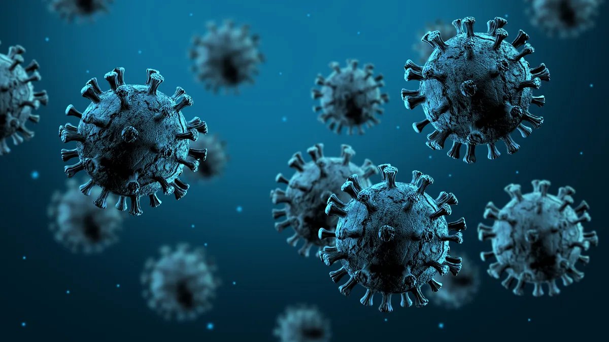 Šta je hantavirus, infekcija od koje je umrlo troje ljudi na kruzeru?