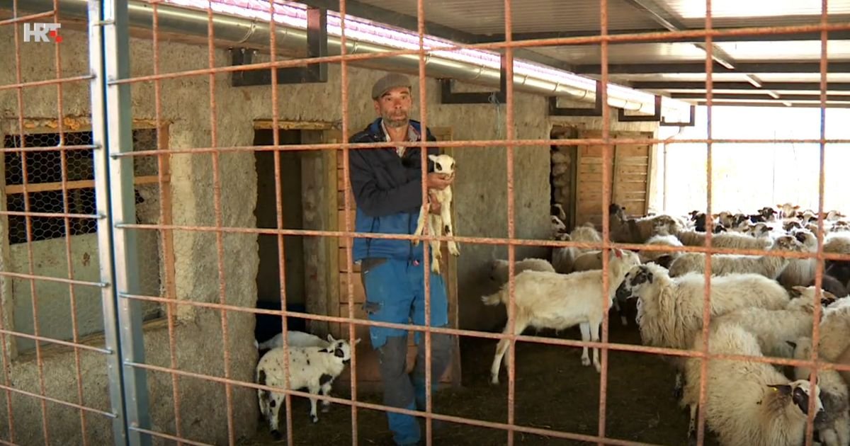 Mario podigao kredit za štalu, ostavio siguran posao i otišao na selo: "Šta proizvedem, to prodam i uvek fali"