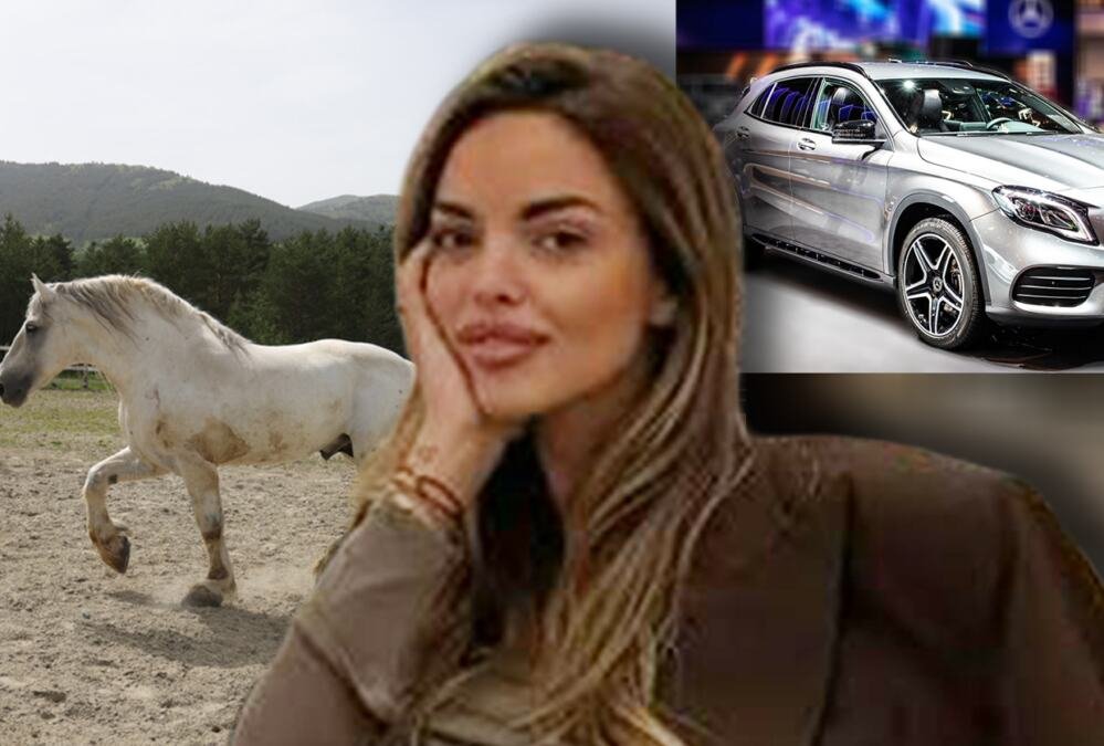 DRAMA NA ZLATIBORU! Auto u vlasništvu Sofije Šašić ubio konja - oglasila se ćerka Željka Šašića: Krdo istrčalo na put!