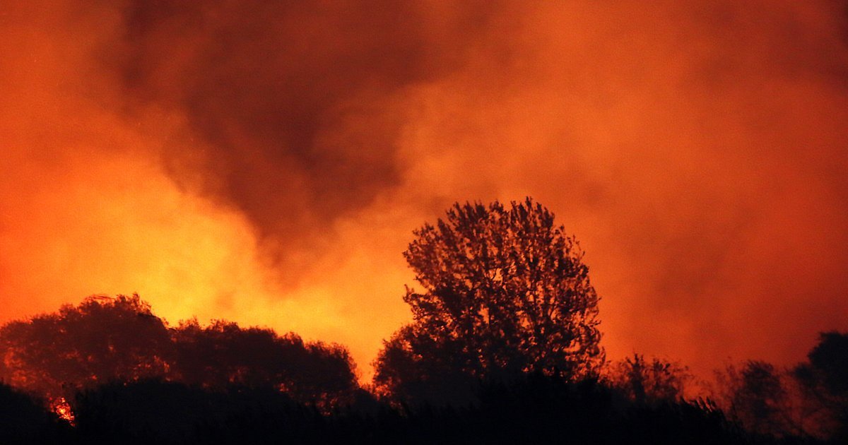 Lokalizovan požar između Luke i Pize u Toskani, izgorelo 700 hektara na planini