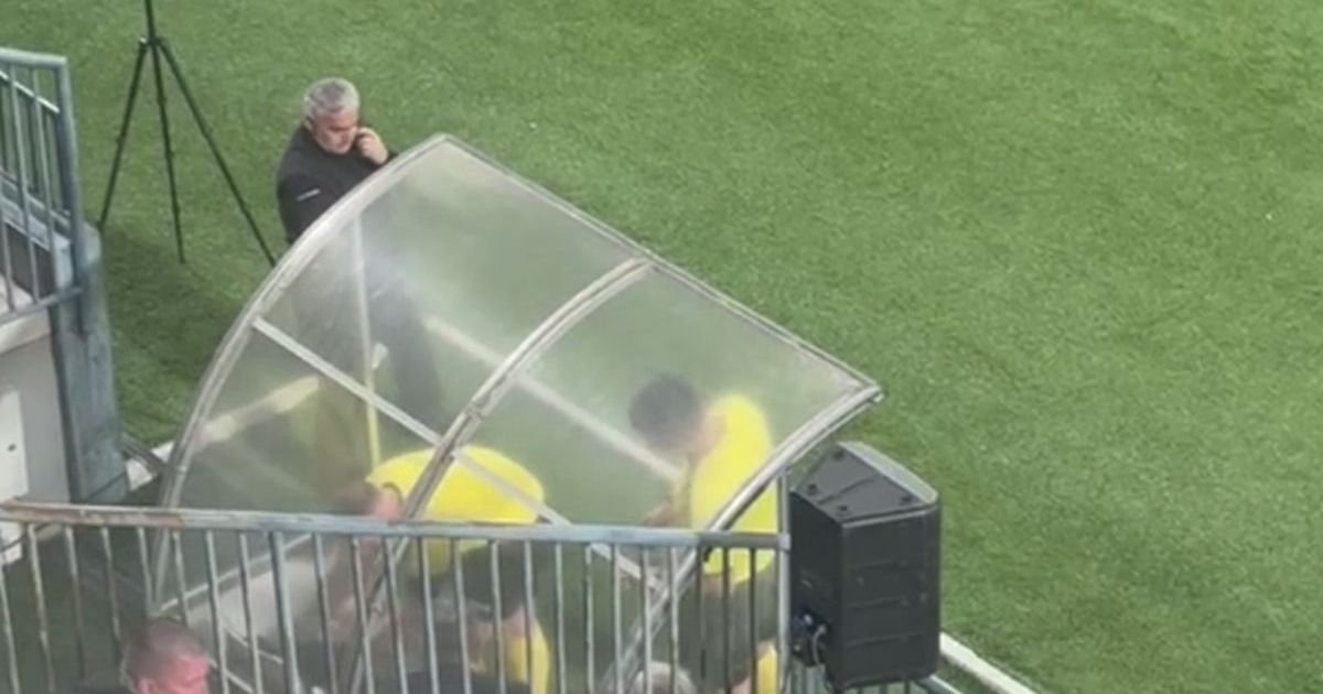 Ovo se retko viđa, povredio se sudija na meču Zvezde, izazvao "rat" večitih pred derbi, sada zamenio kolegu