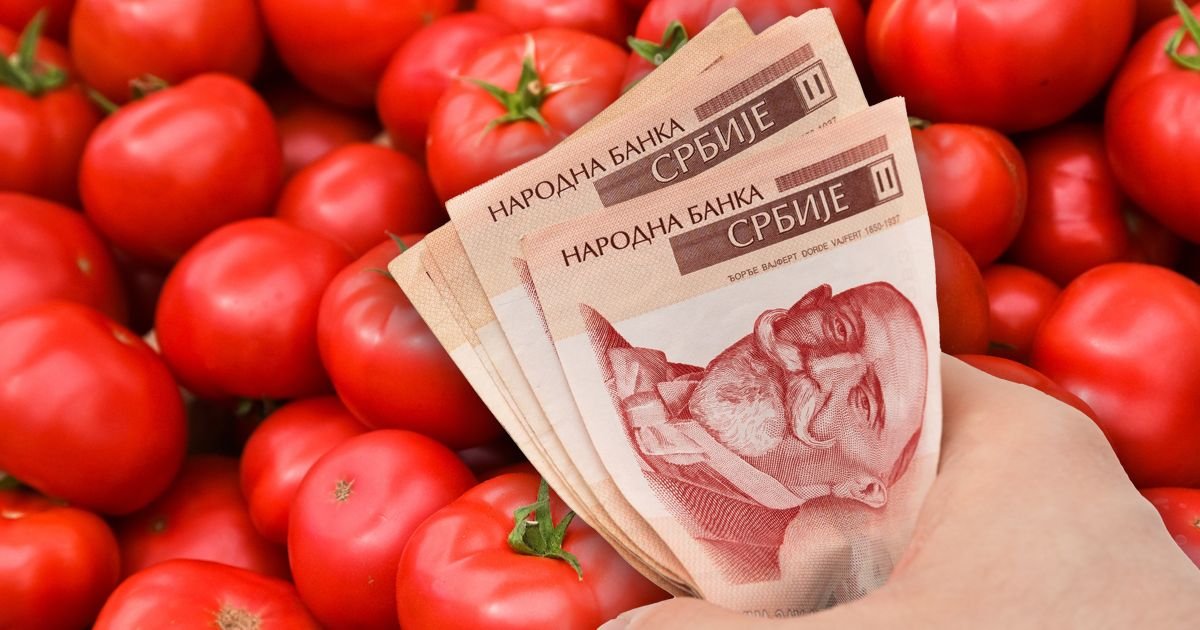 Platiš kao zlato, dobiješ vodu: Evo zašto je paradajz sve skuplji, a sve praznijeg ukusa