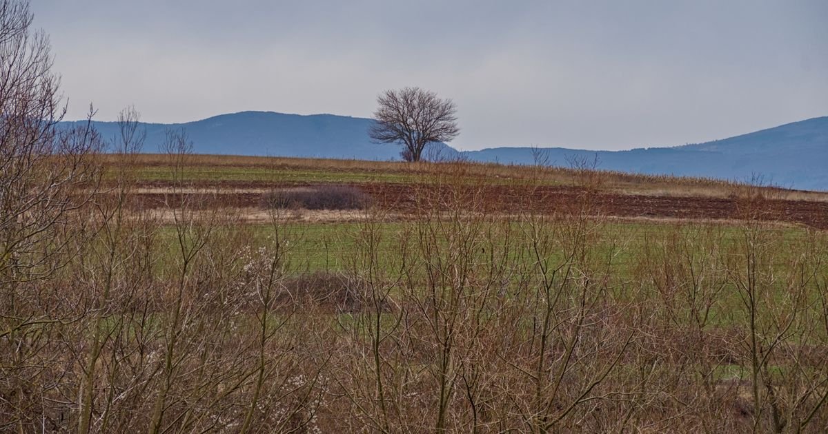 Nadvisuje ga planina protkana misterijama: Banjsko je selo, ali ima zaseoke i po tome je jedinstveno u Srbiji