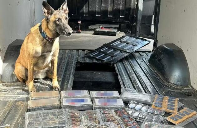 UHAPŠENI SRBI U AUSTRIJI! POTUKLI SE, PA OTKRIVENA ISTINA O NJIMA: Posle bizarnog incidenta, policija saznala da su deo narko-grupe! (foto)
