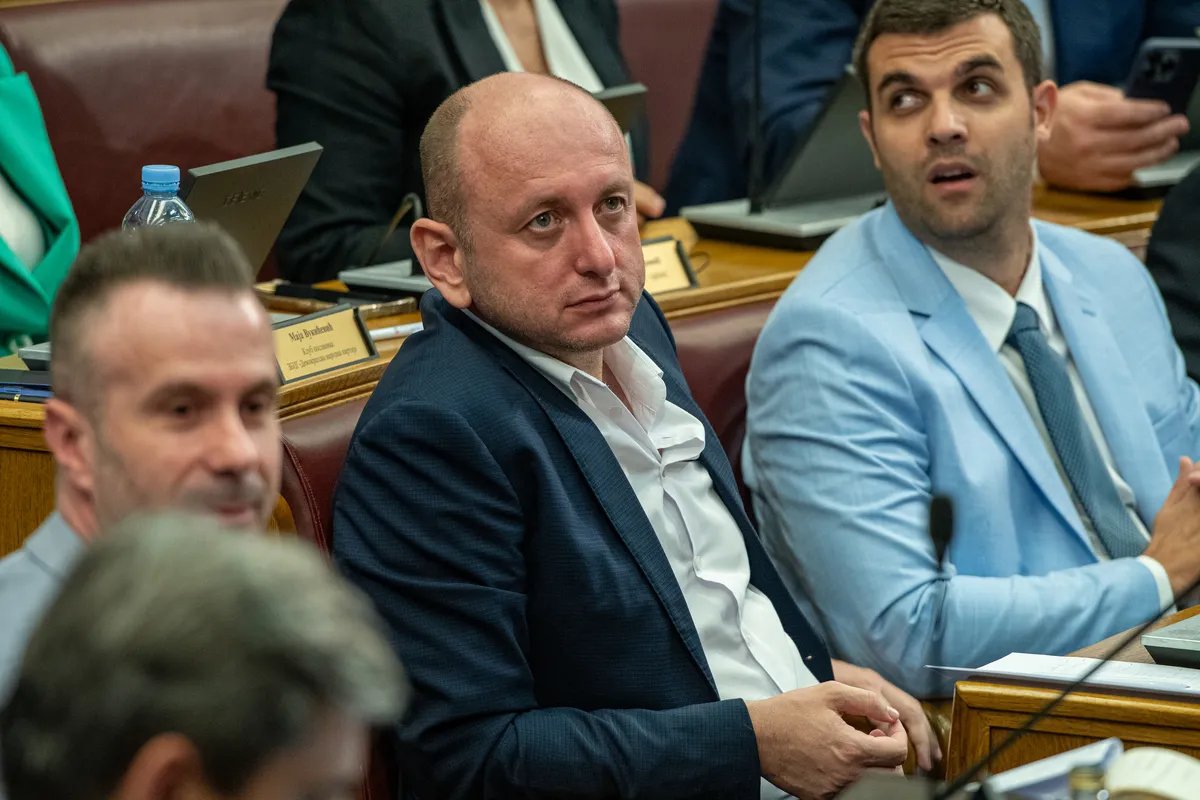 Haos u Skupštini Crne Gore: Milan Knežević čitao stihove o Rikiju Martinu, Ivanović mu odgovorio: Nijeste neki pjesnik, a bolji ste pjesnik nego političar