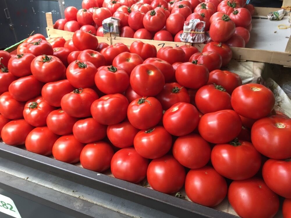 Paradajz nikad nije bio skuplji: Cena samo raste, stručnjaci otkrili šta je uzrok toga