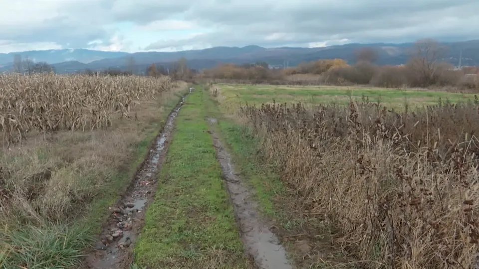 Prolećna suša u Srbiji ugrožava sve useve, pao i nivo podzemnih voda