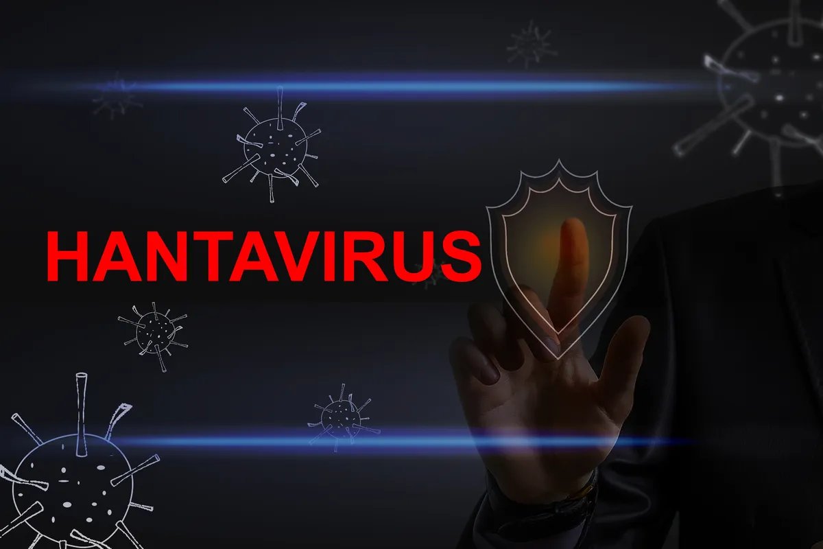 Hantavirus na kruzeru odneo tri života: Da li postoji opasnost za Srbiju i kakva je statistika obolevanja kod nas