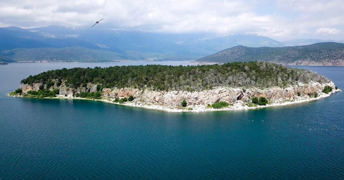Pazite se "Zmijskog ostrva"! Na njemu živi preko 2.000 poskoka, a nalazi se blizu Srbije